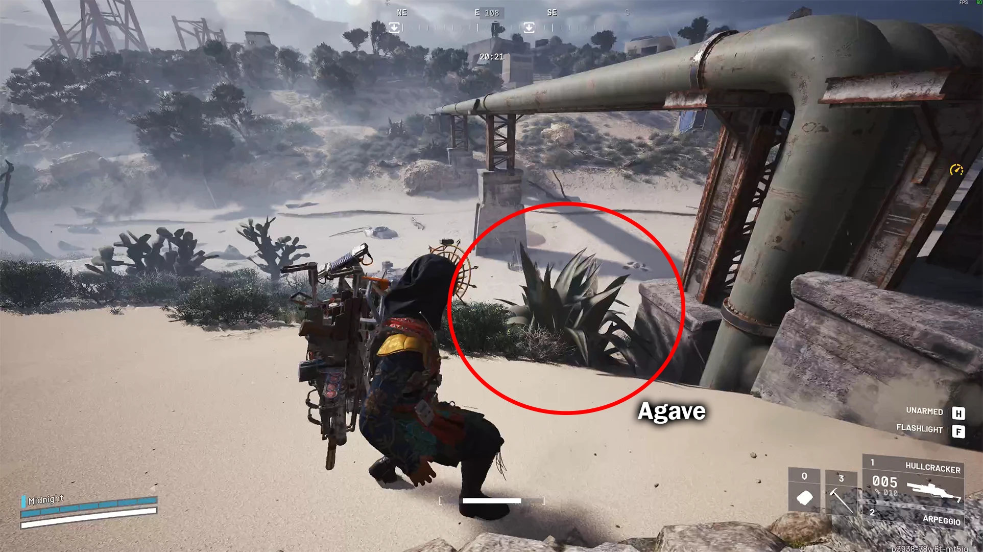 Agave plant growing outside in ARC Raiders on Riven Tides