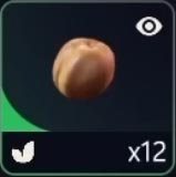12 Apricots item
