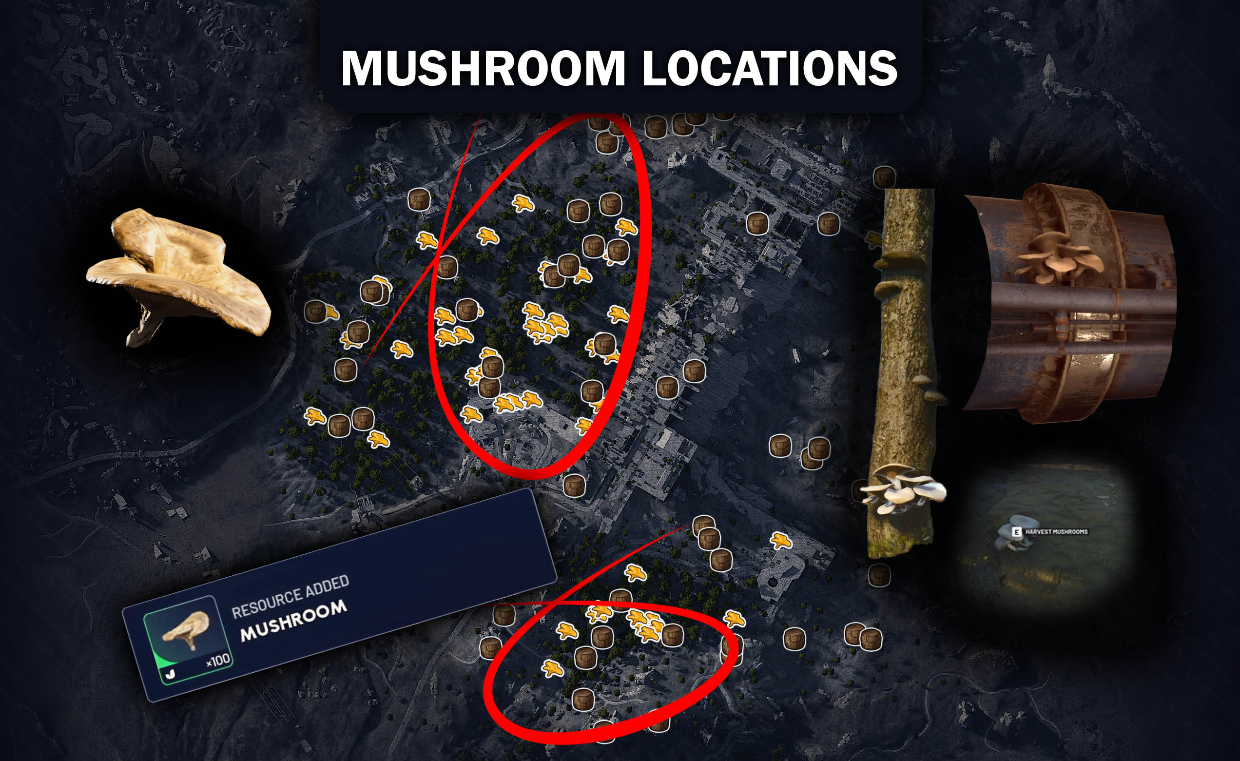 Mushroom Spawn Locations Guide