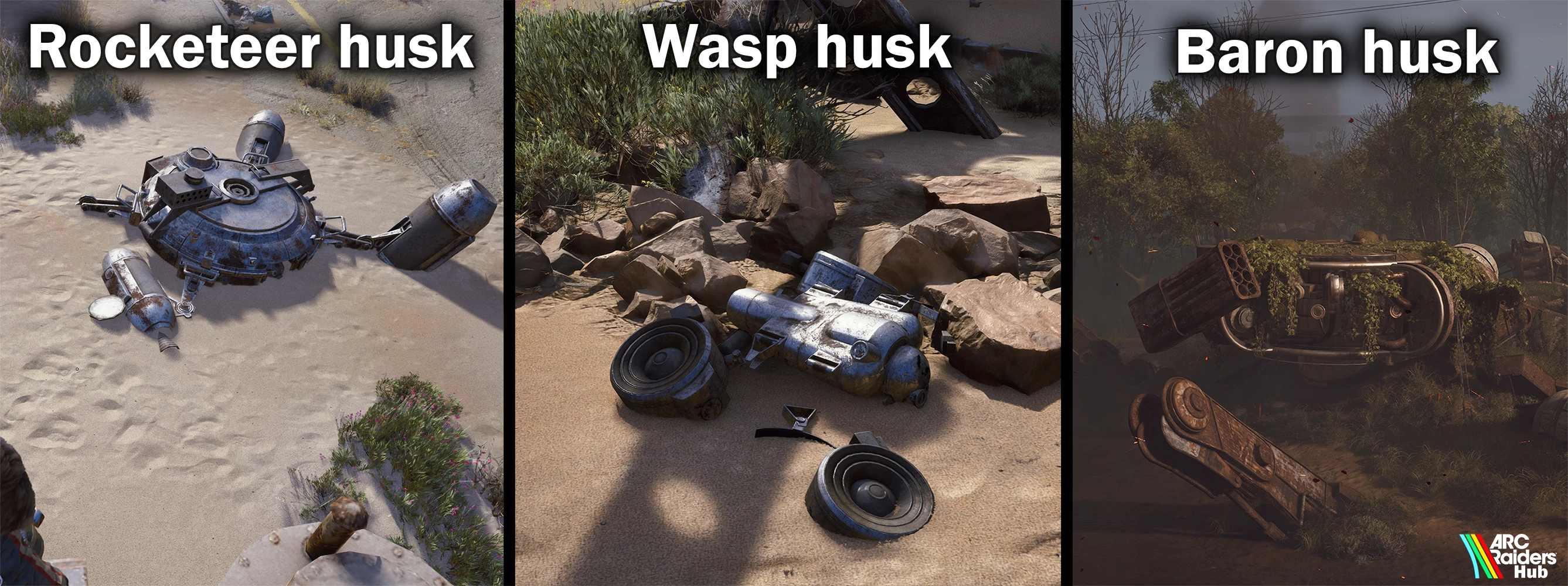 First Wave Husks - Wasp, Rocketeer, and Baron Husk visual identification guide