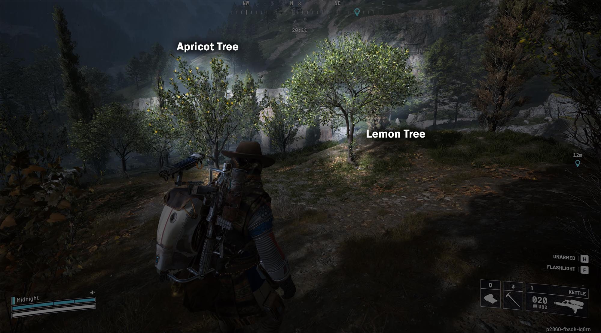 Lemon and Apricot trees in Village