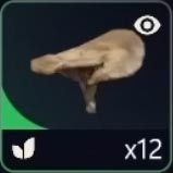 Mushroom item