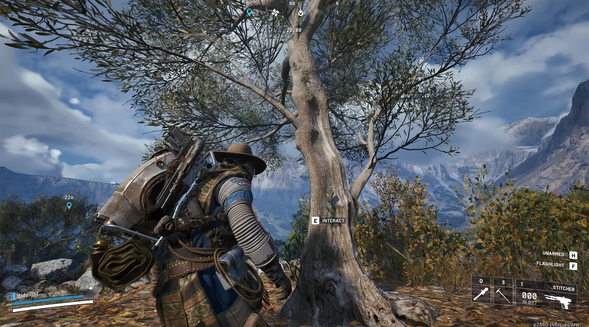 Olive tree in Olive Grove