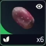Prickly Pear item