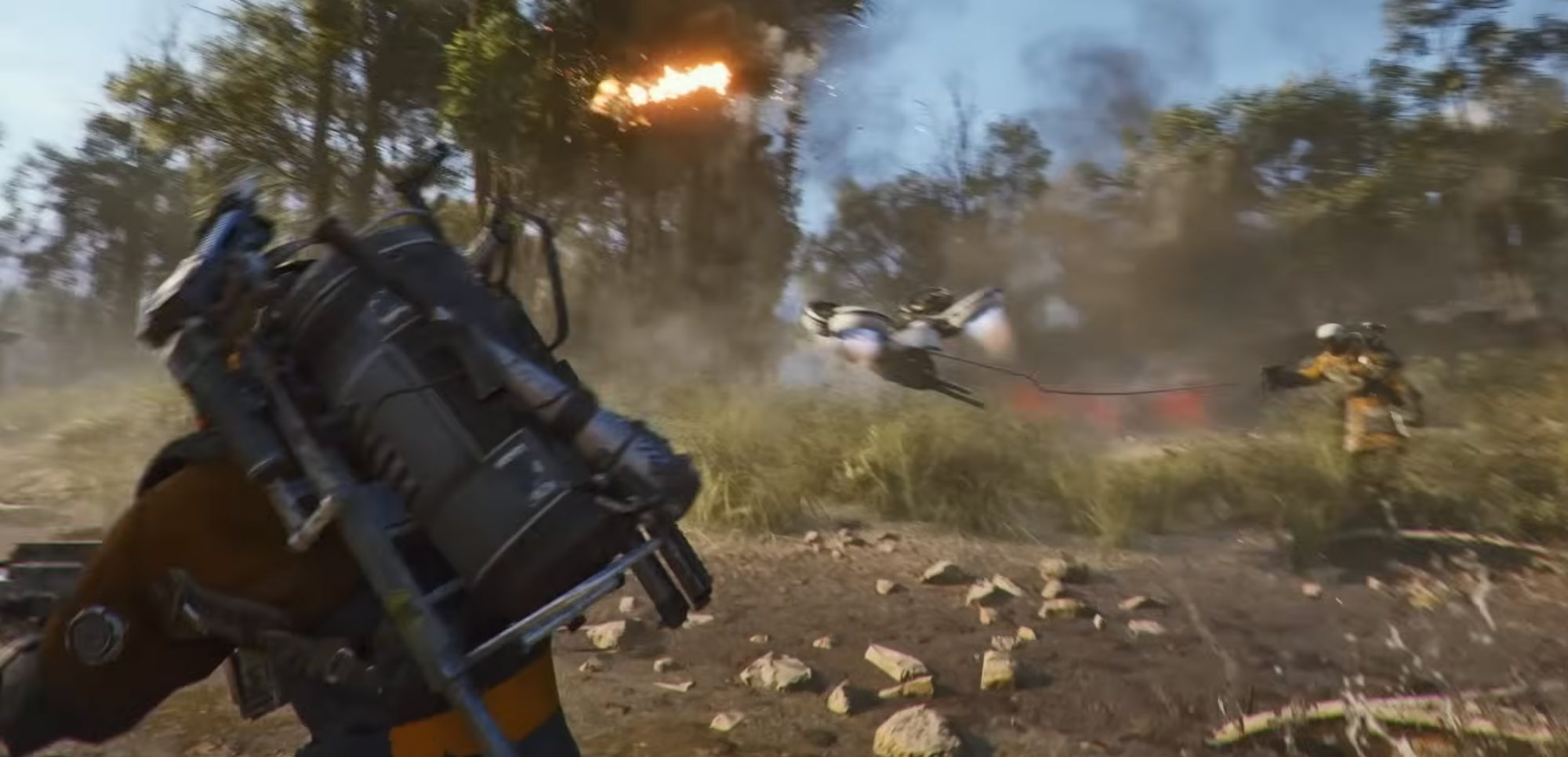 Wasp ARC being pulled down